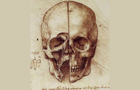 a skull drawing.