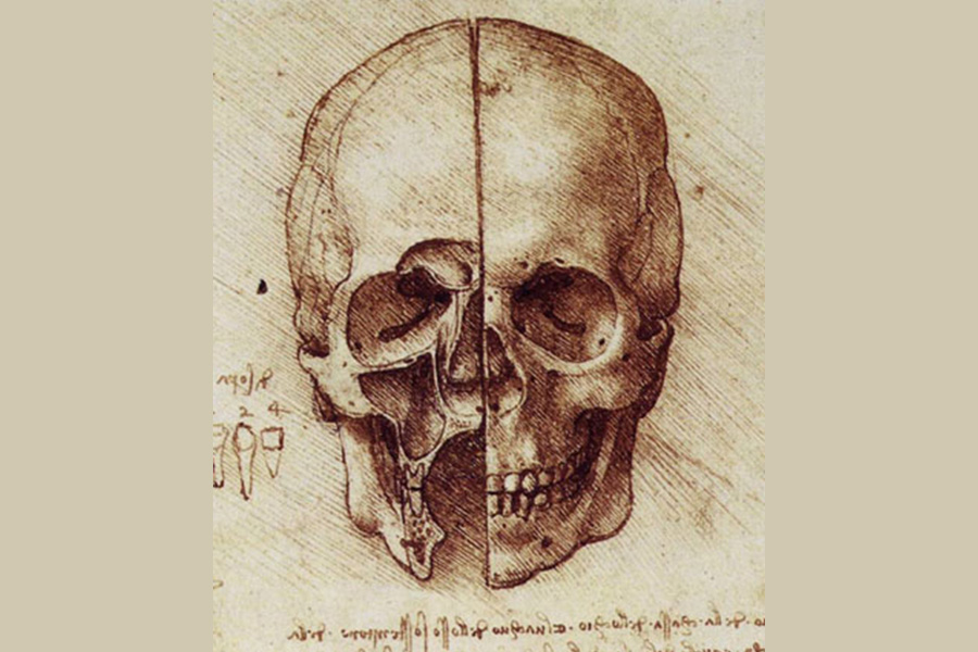 a skull drawing.